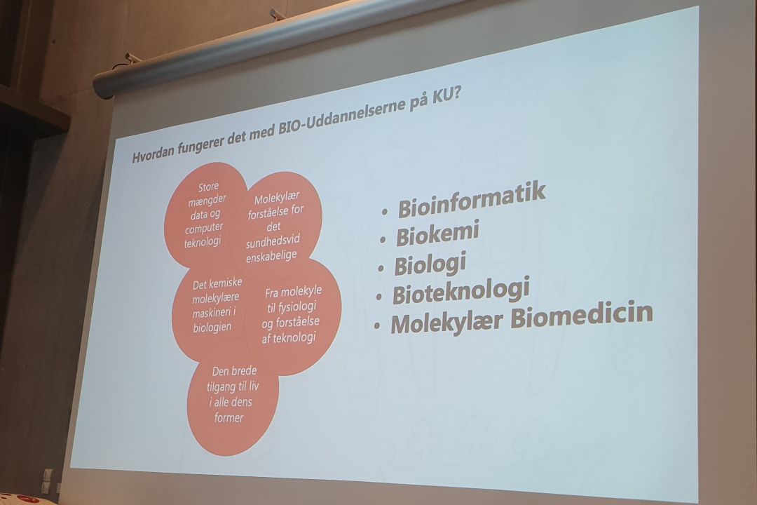 Opgave - kombinér uddannelser og indhold